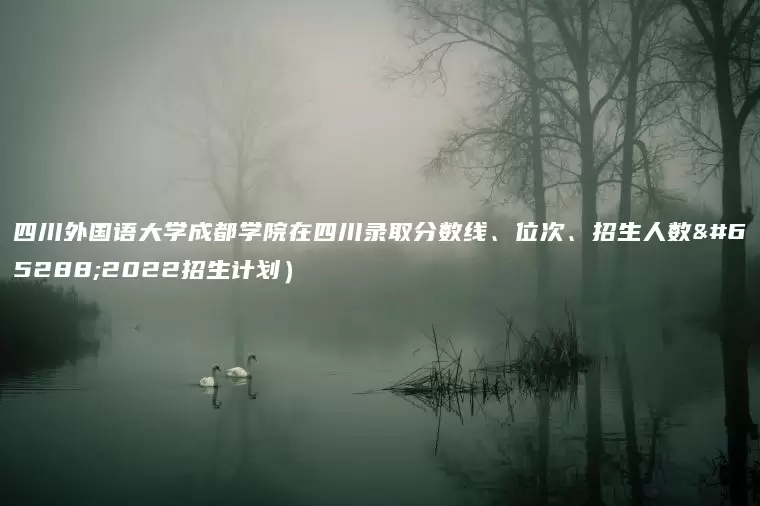 四川外国语大学成都学院在四川录取分数线、位次、招生人数（2022招生计划）