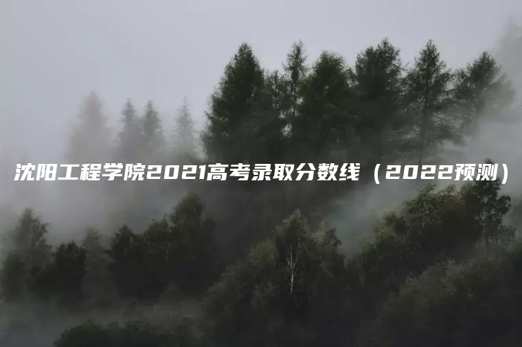 沈阳工程学院2021高考录取分数线（2022预测）