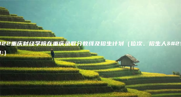 2022重庆财经学院在重庆录取分数线及招生计划（位次、招生人数）
