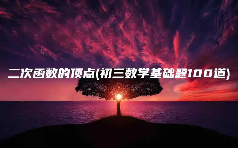 二次函数的顶点(初三数学基础题100道)