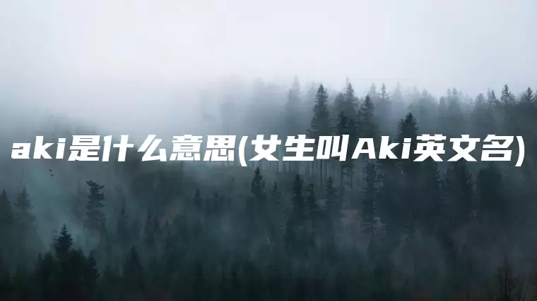 aki是什么意思(女生叫Aki英文名)