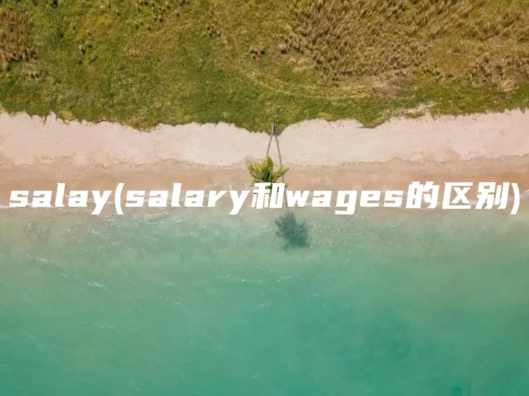 salay(salary和wages的区别)