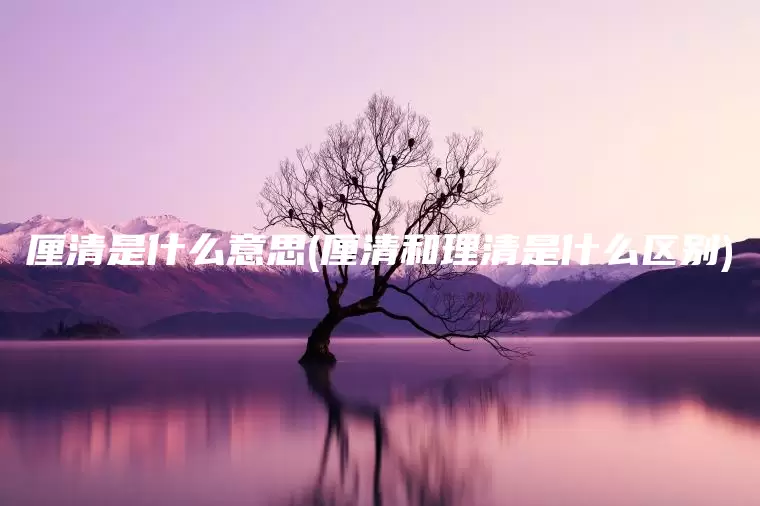 厘清是什么意思(厘清和理清是什么区别)