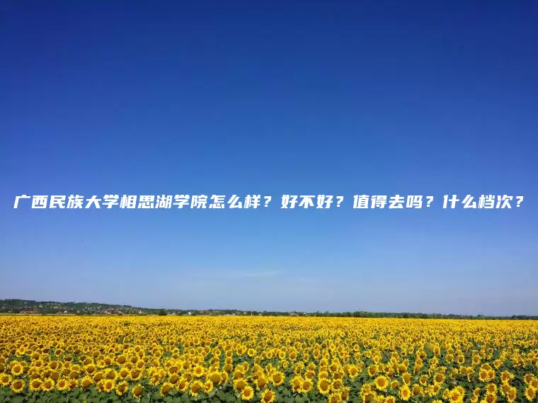 广西民族大学相思湖学院怎么样？好不好？值得去吗？什么档次？