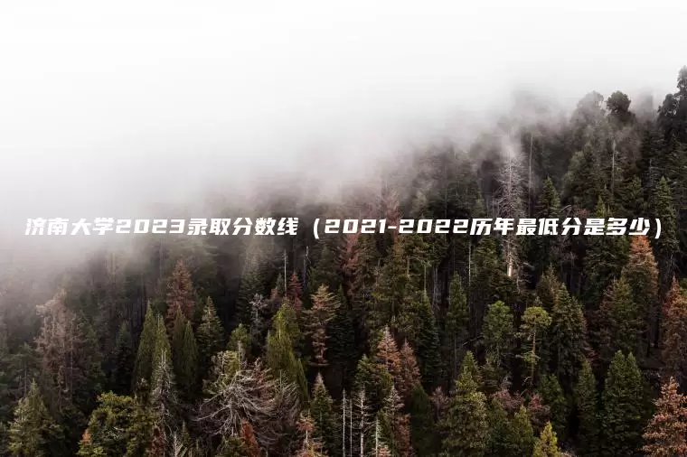 济南大学2023录取分数线（2021-2022历年最低分是多少）
