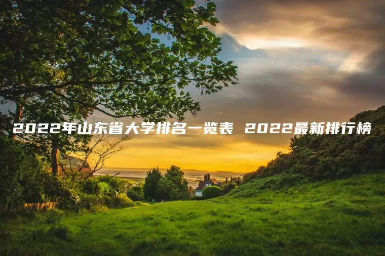 2022年山东省大学排名一览表 2022最新排行榜