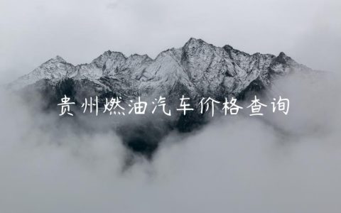 贵州燃油汽车价格查询