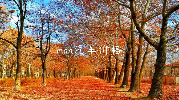 man汽车价格