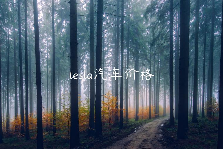 tesla汽车价格