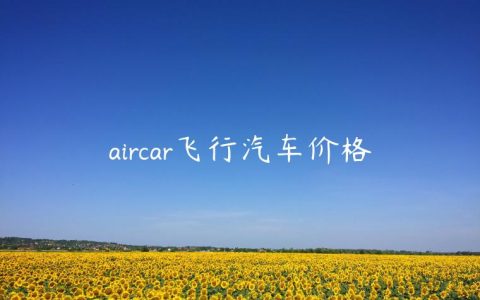 aircar飞行汽车价格