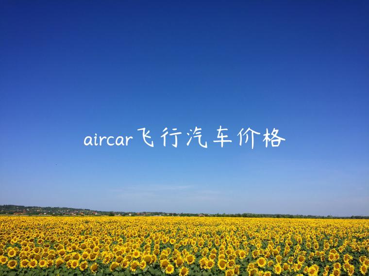 aircar飞行汽车价格