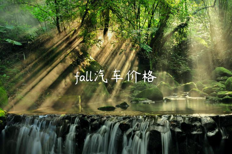 fall汽车价格