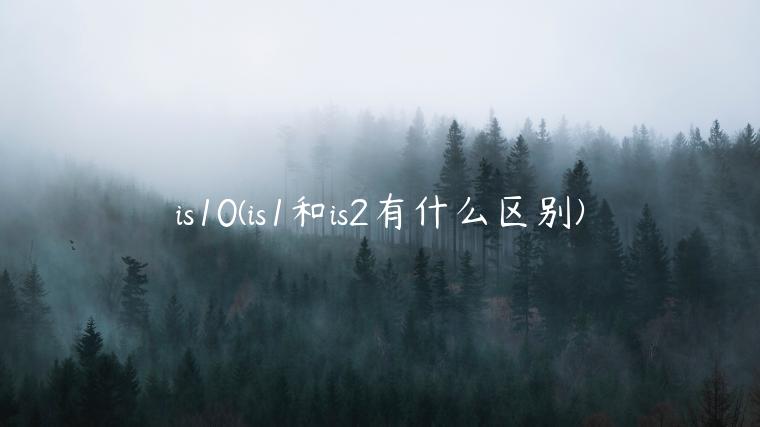 is10(is1和is2有什么区别)