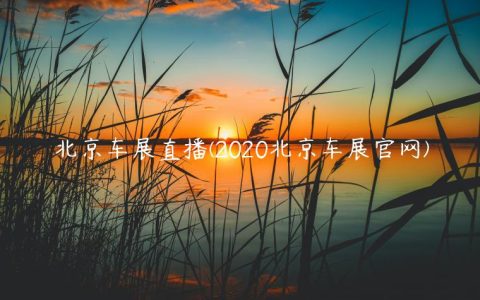 北京车展直播(2020北京车展官网)