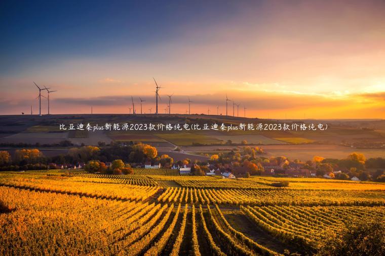 比亚迪秦plus新能源2023款价格纯电(比亚迪秦plus新能源2023款价格纯电)