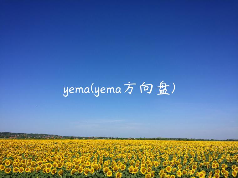 yema(yema方向盘)