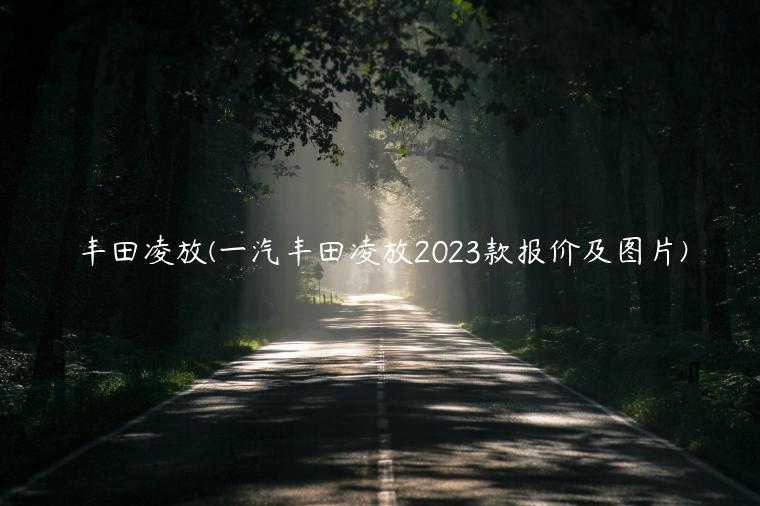 丰田凌放(一汽丰田凌放2023款报价及图片)