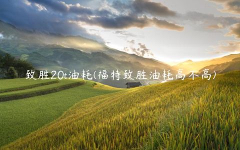 致胜20t油耗(福特致胜油耗高不高)