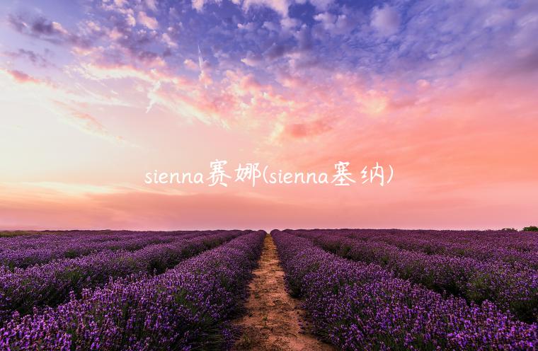 sienna赛娜(sienna塞纳)