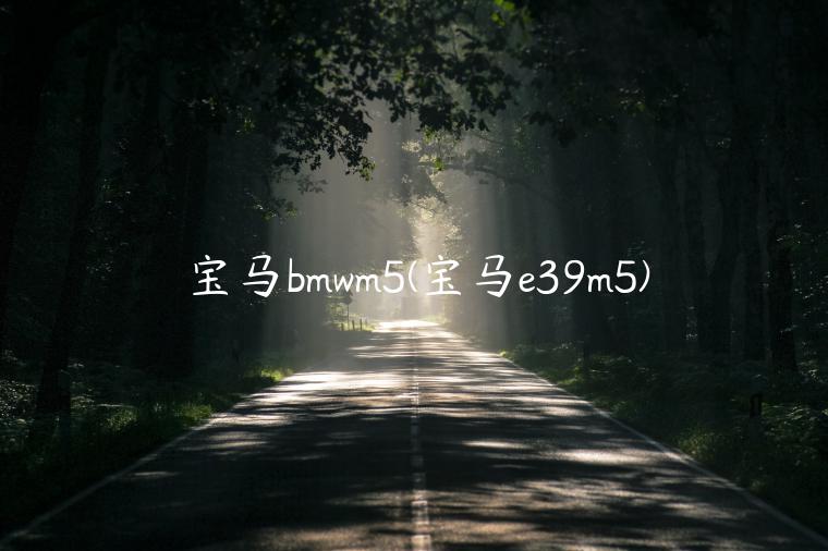 宝马bmwm5(宝马e39m5)