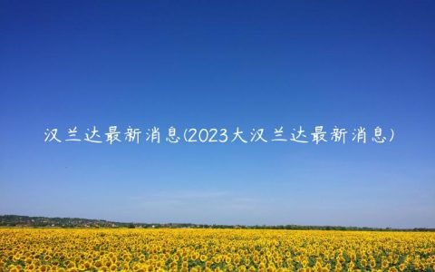 汉兰达最新消息(2023大汉兰达最新消息)