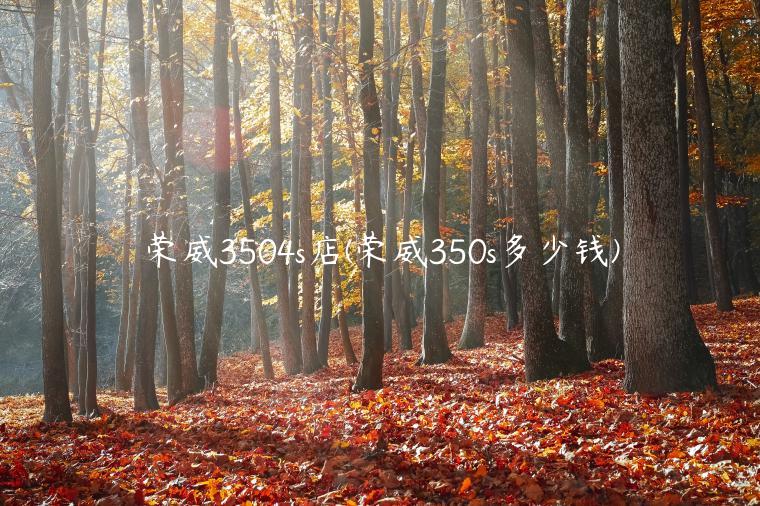 荣威3504s店(荣威350s多少钱)