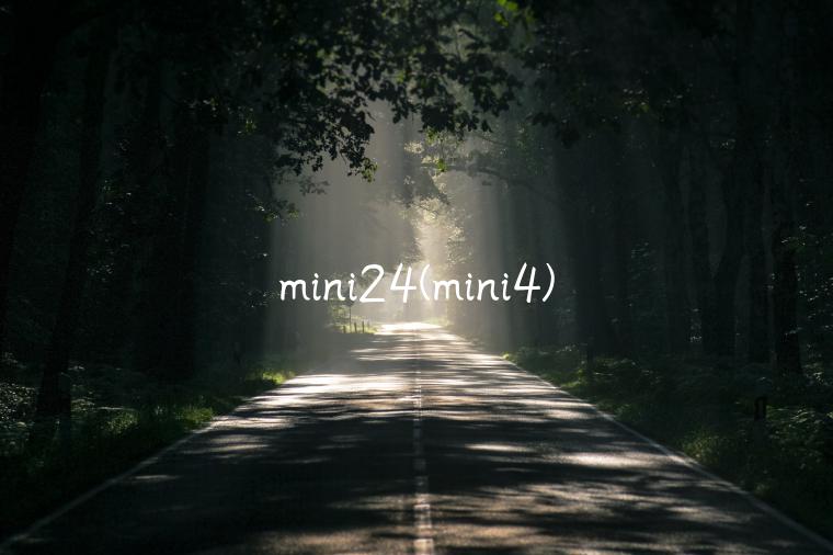 mini24(mini4)