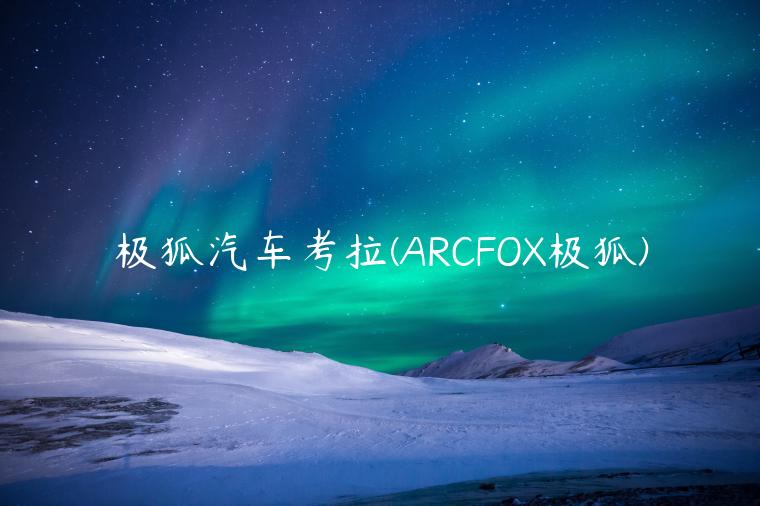 极狐汽车考拉(ARCFOX极狐)