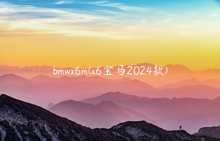 bmwx6m(x6宝马2024款)