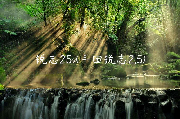 锐志25v(丰田锐志2.5)