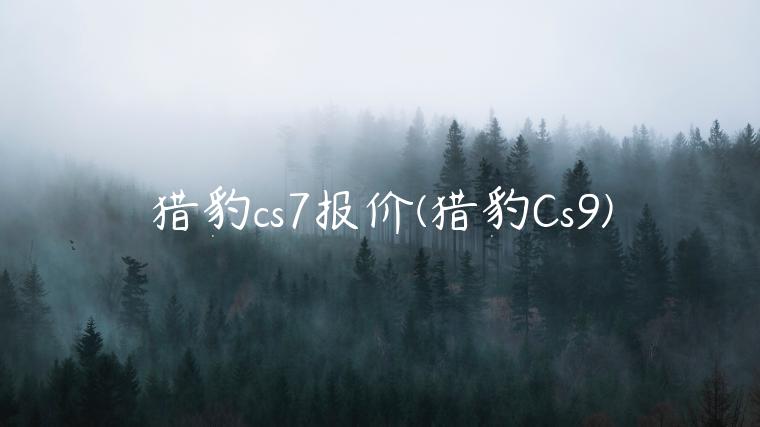 猎豹cs7报价(猎豹Cs9)