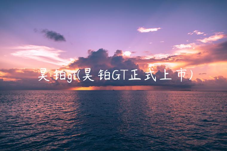 昊铂gt(昊铂GT正式上市)