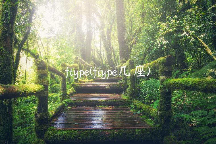 ftype(ftype几座)
