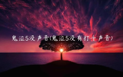 鬼泣5没声音(鬼泣5没有打斗声音)