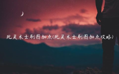 死灵术士刷图加点(死灵术士刷图加点攻略)