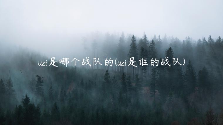 uzi是哪个战队的(uzi是谁的战队)