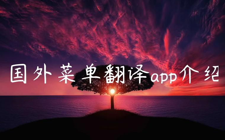 国外菜单翻译app介绍